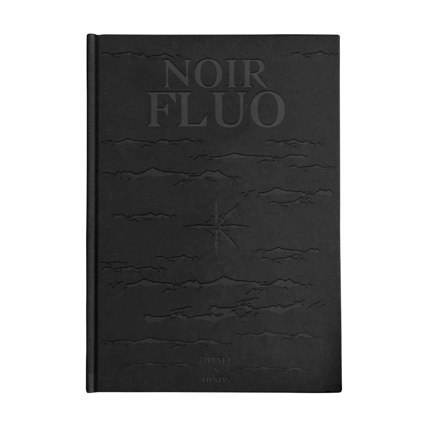 "NOIR FLUO" - LIVRE