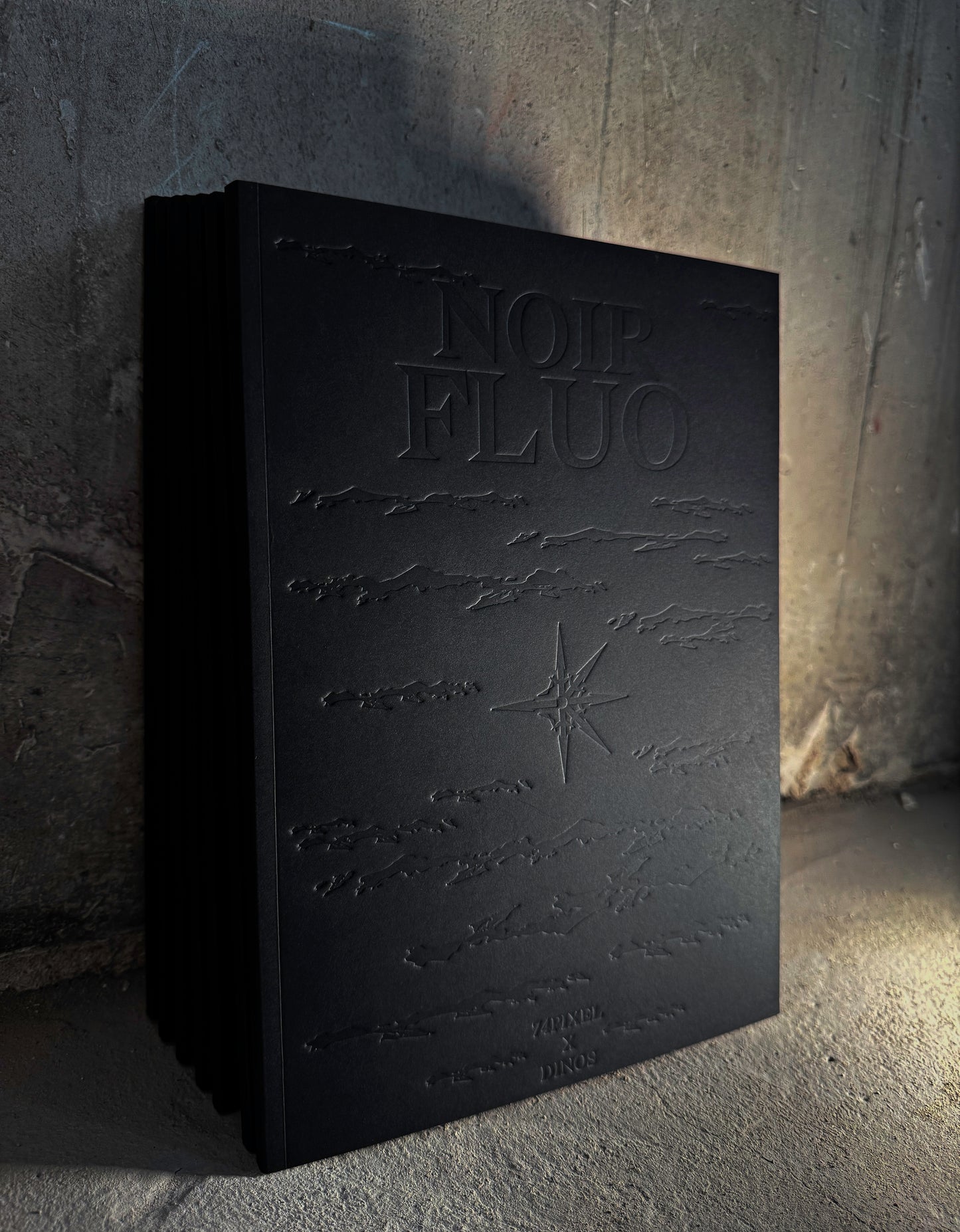 "NOIR FLUO" - LIVRE