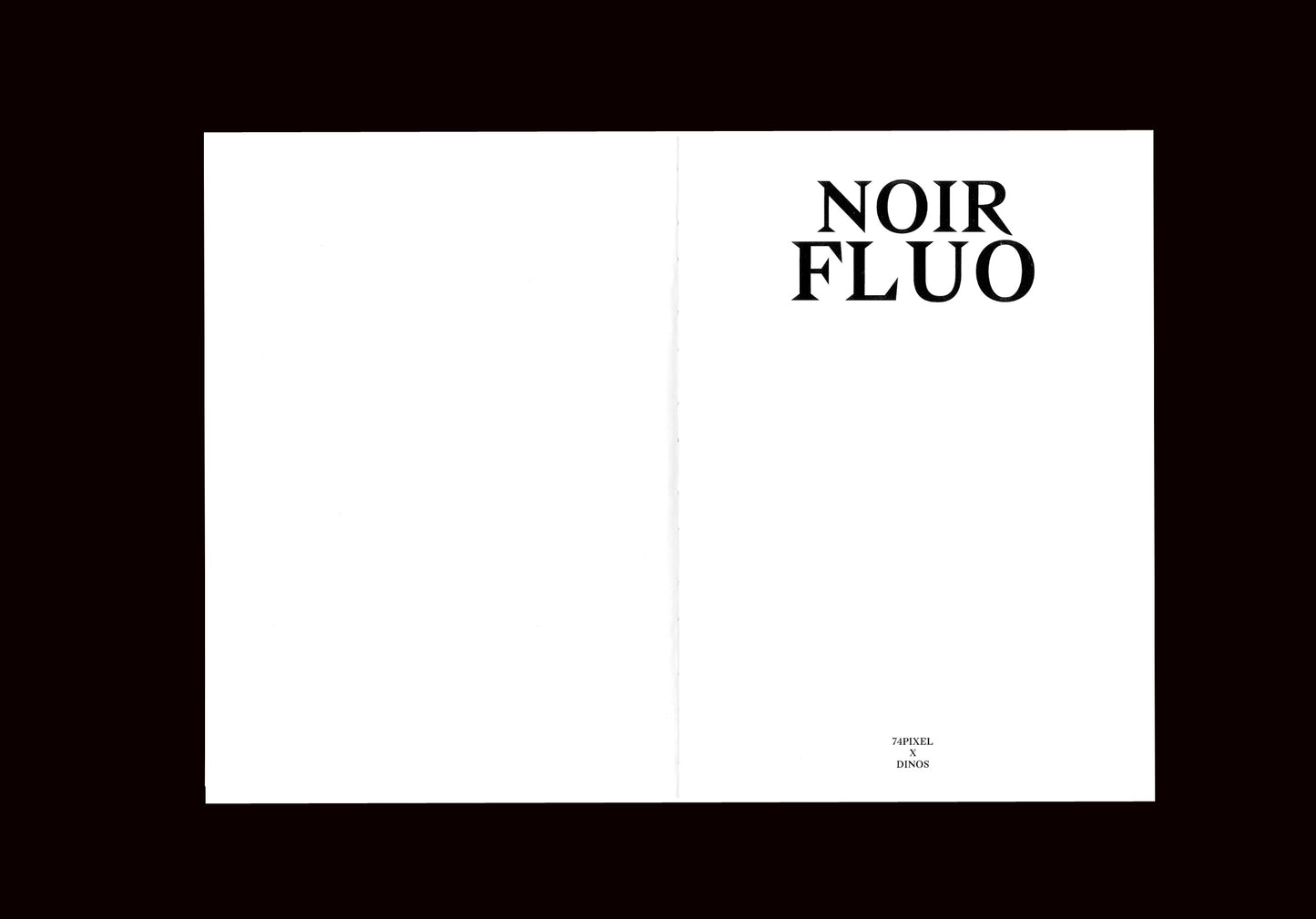 "NOIR FLUO" - LIVRE